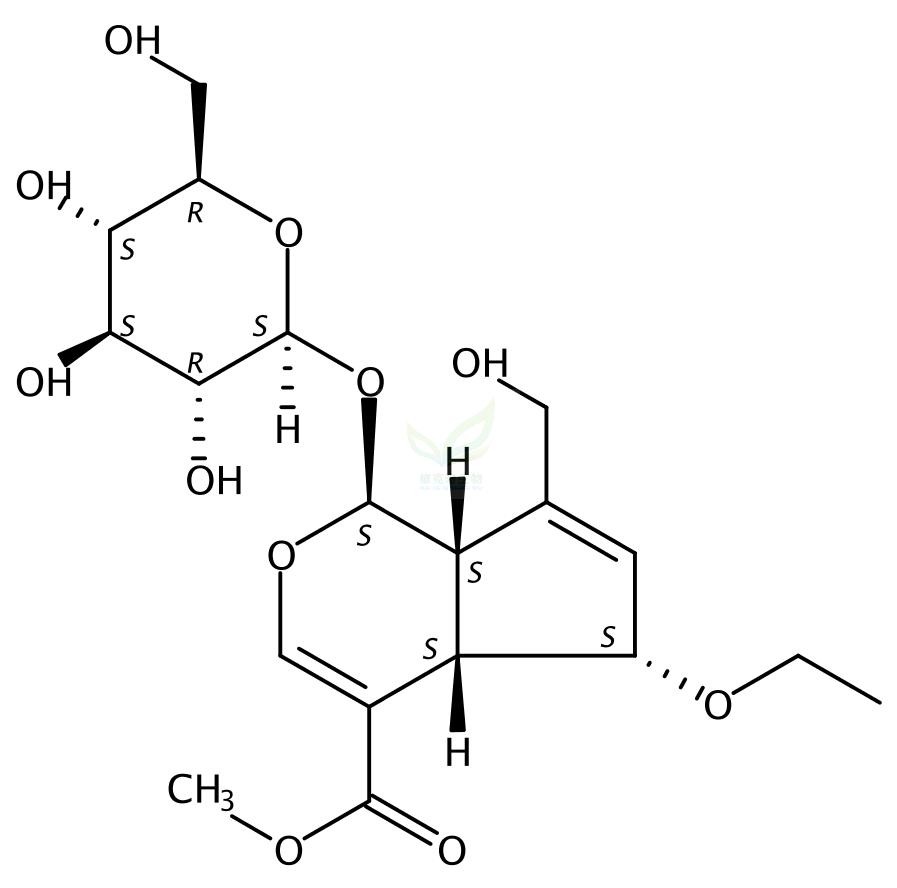 6-乙氧基京尼平苷 6-Ethoxygeniposide