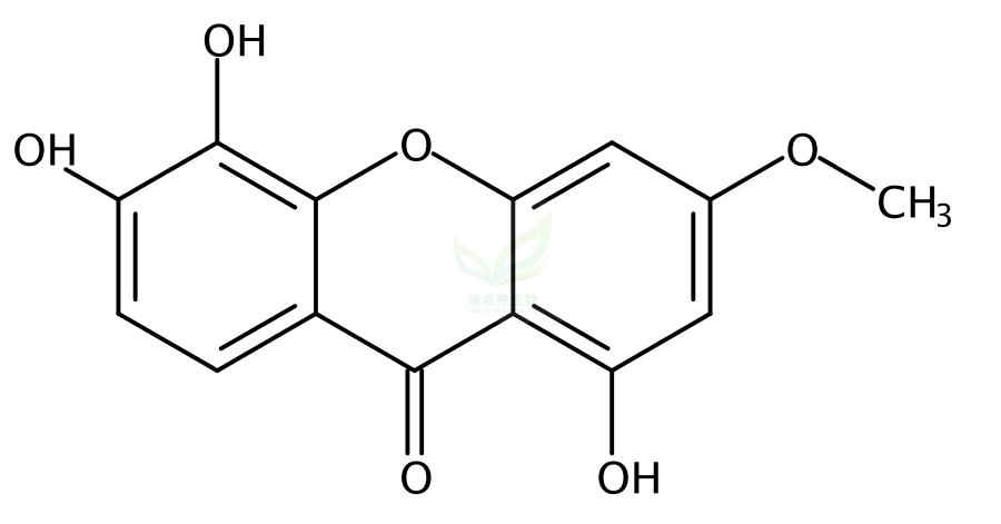 1,5,6-三羟基-3-甲氧基呫吨酮 50868-52-5 