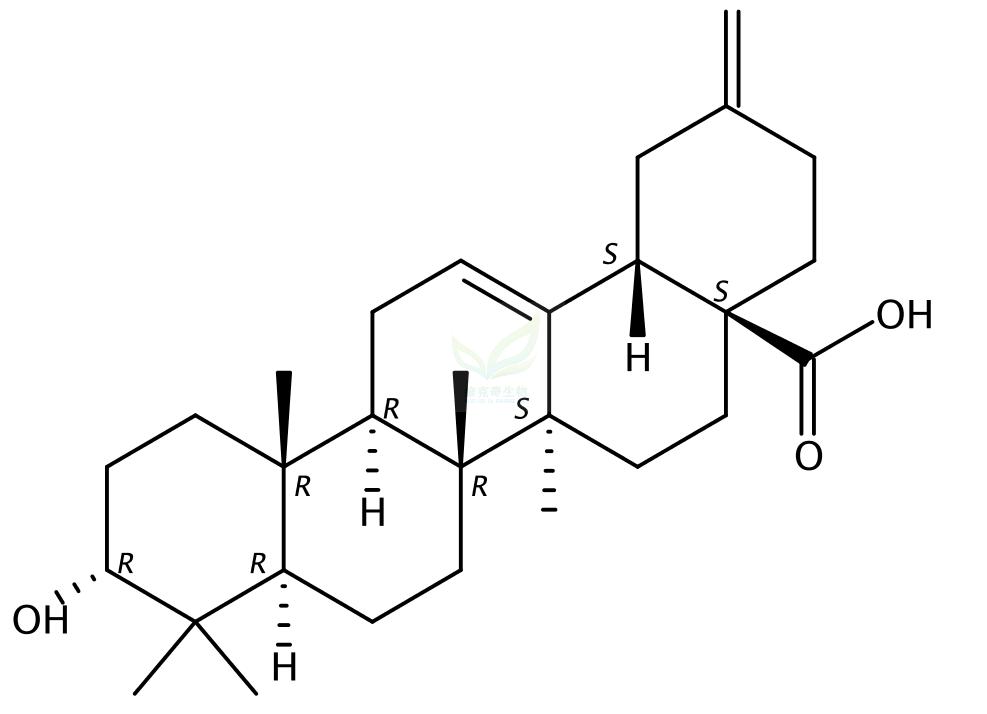 3alpha-木通萜酸 3alpha-Akebonoic acid  104777-61-9