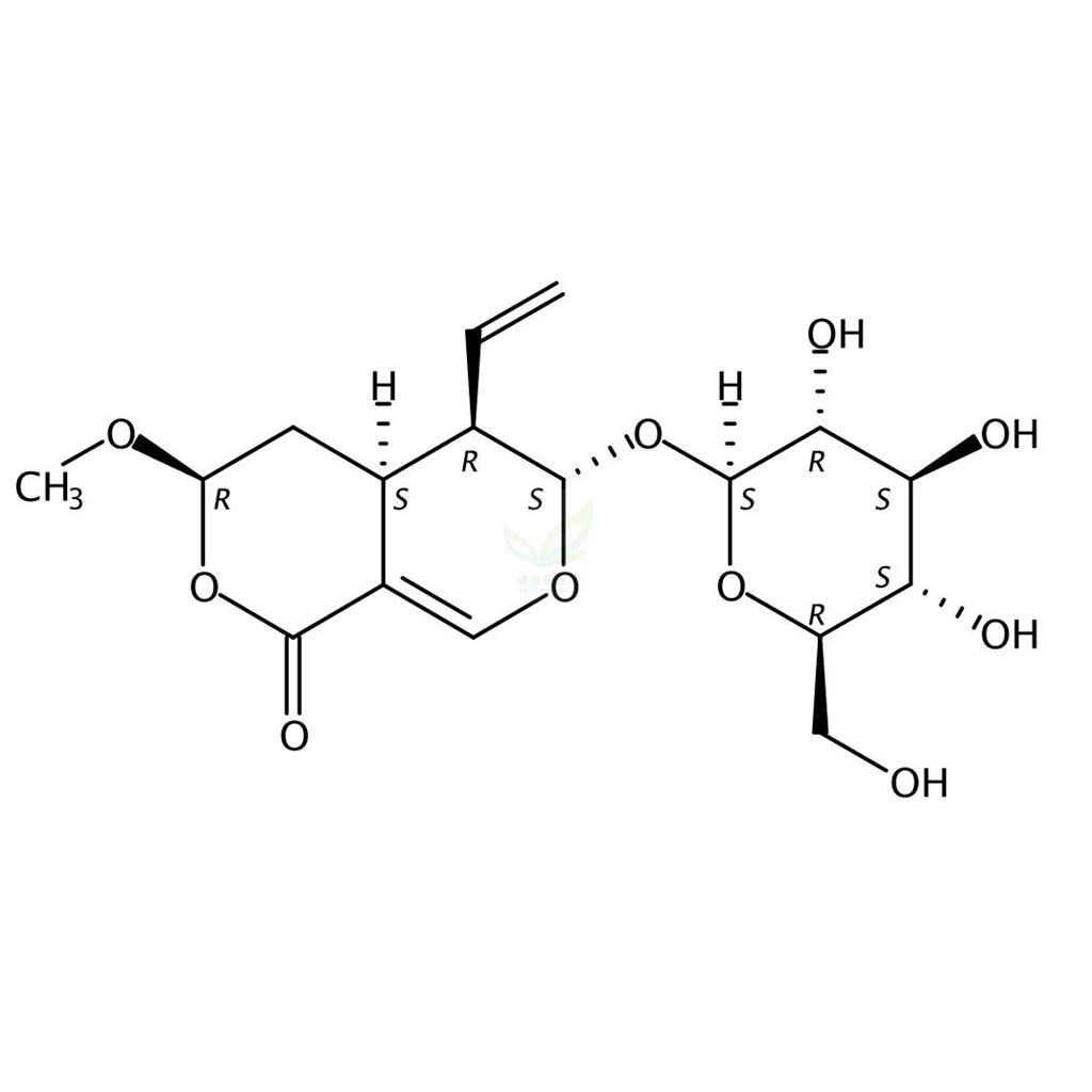 断马钱子苷半缩醛内酯  Vogeloside