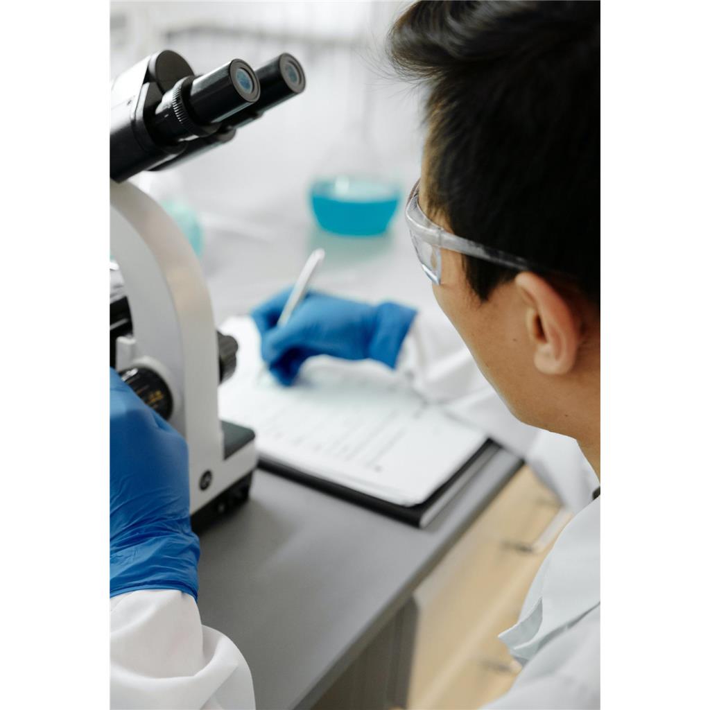 广州pdx小鼠模型建立 人源肿瘤组织异种移植PDX小鼠模型优点