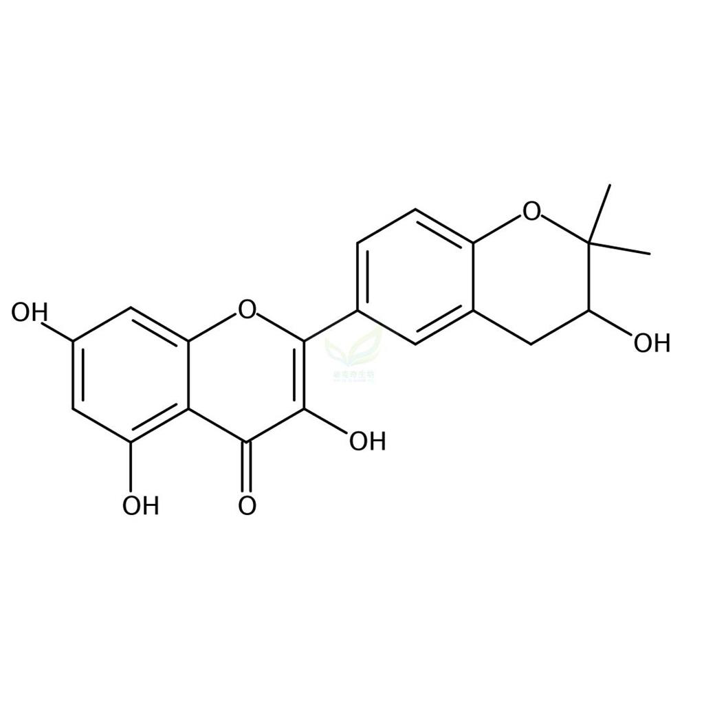 甘草黄酮醇A   Glycyrrhiza flavonol A 