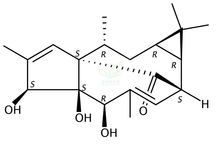 20-去氧巨大戟萜醇  20-Deoxyingenol 