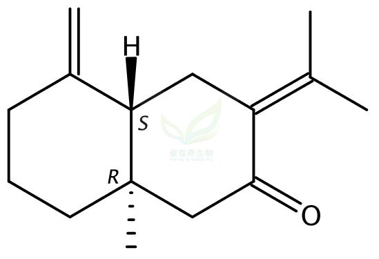 乙酰白术内酯III   54707-47-0