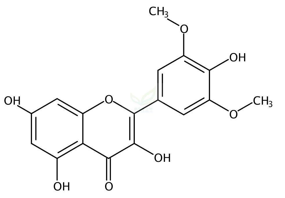 丁香亭  Syringetin  4423-37-4