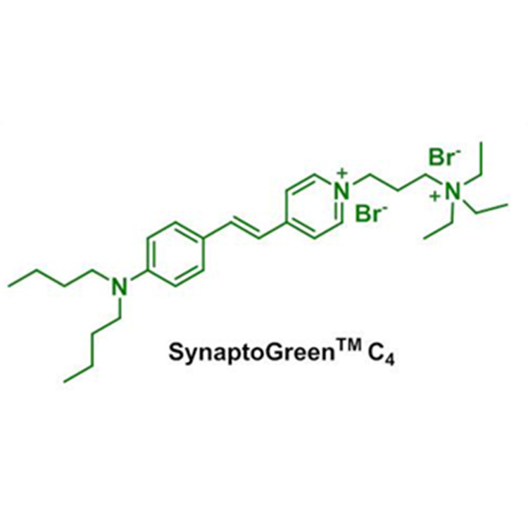 荧光神经末端染料，149838-22-2，NeurotransGreen C