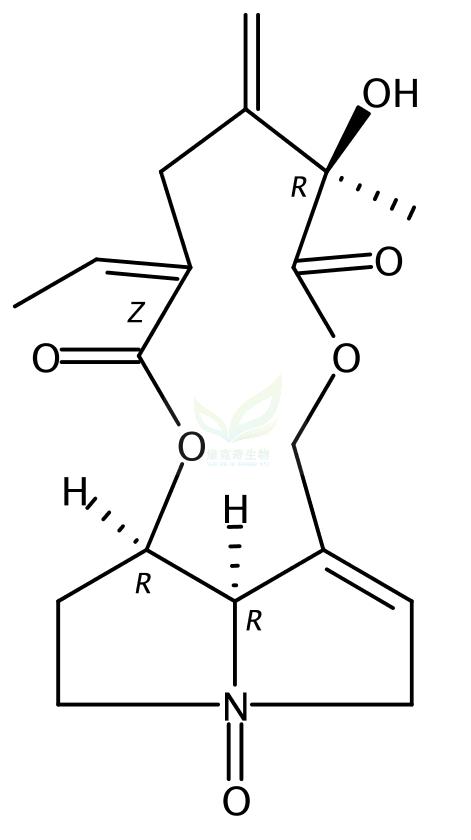 千里光非灵N-氧化物 Seneciphylline N-oxide