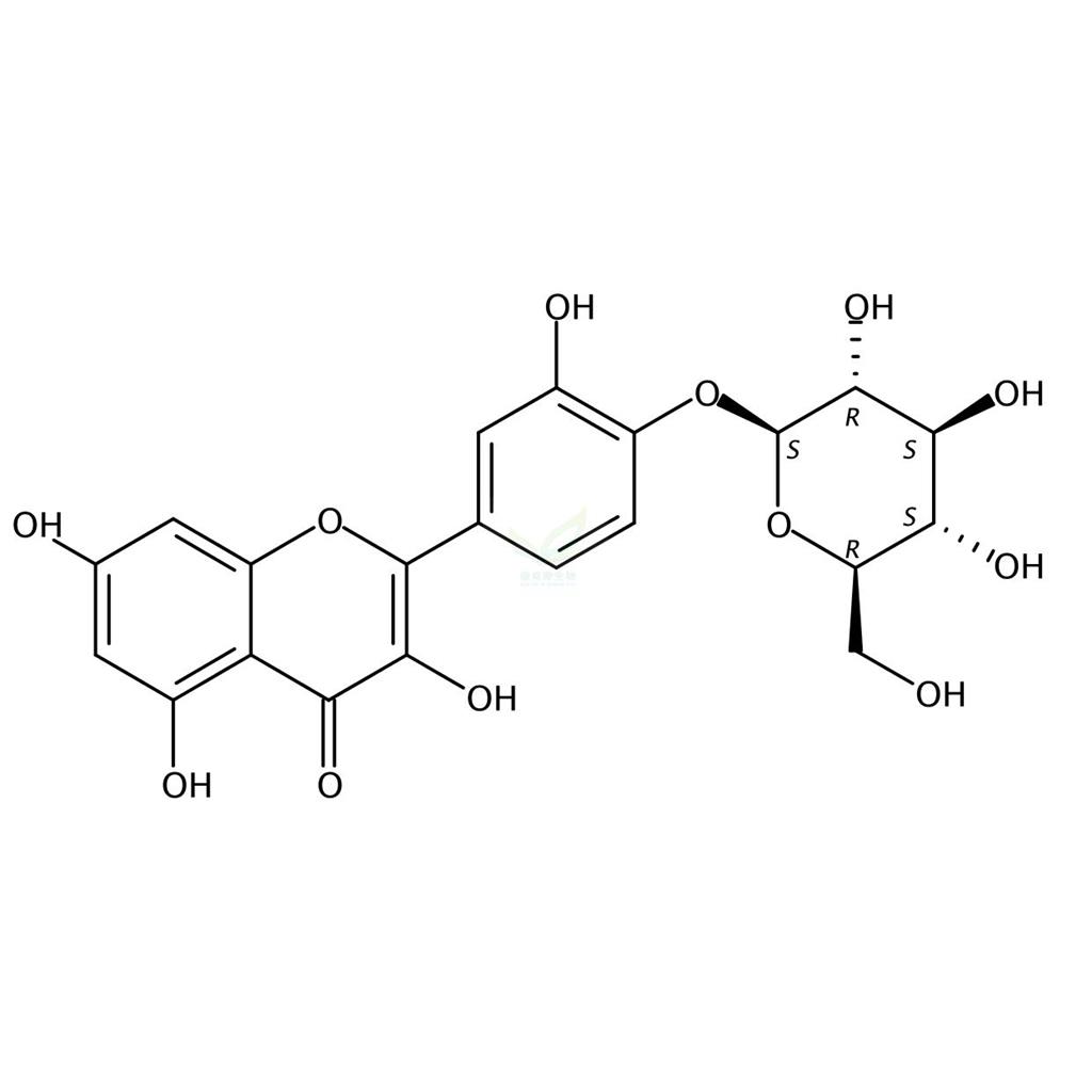 绣线菊甙  Spireoside  20229-56-5