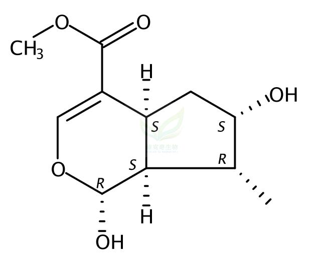 马钱苷元  Loganetin  29748-10-5