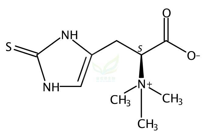 麦角硫因  L-(+)-Ergothioneine 