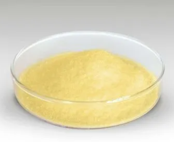 4845-58-3；2-巯基-6-硝基苯并噻唑