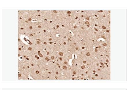 搜狗截图23年06月19日0956_15.png 搜狗截图23年06月19日0956_15.png