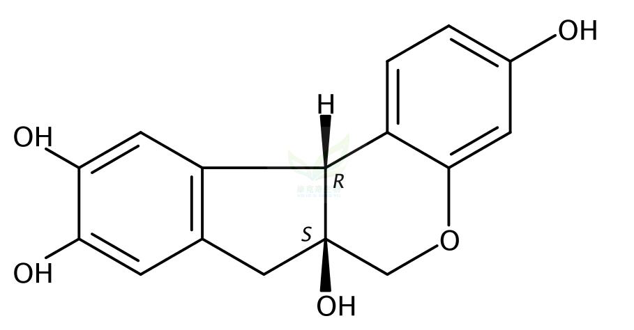 巴西苏木素  Brazilin  474-07-7