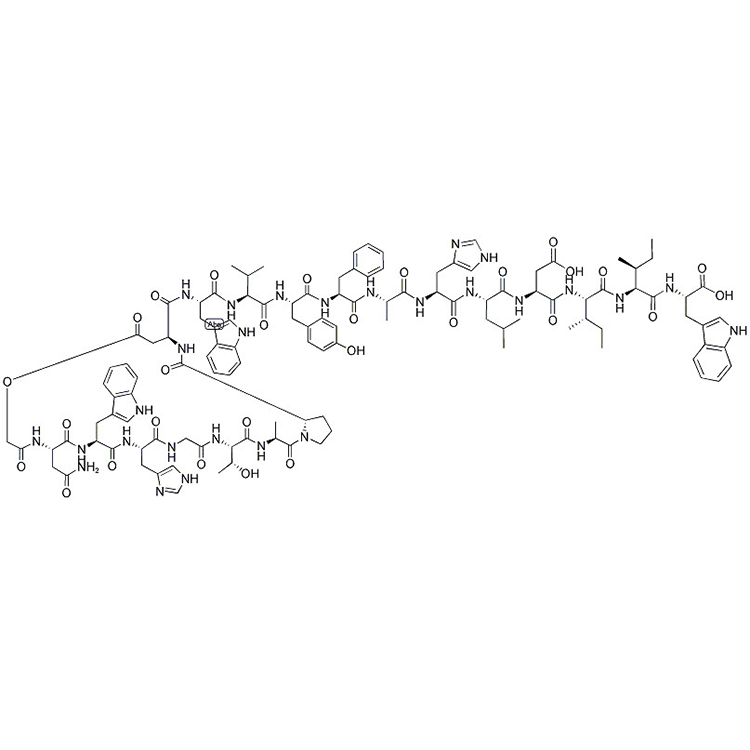 151308-48-4，Cyclo(-Gly-Asn-Trp-His-Gly-Thr-Ala-Pro-Asp)-Trp-Val-Tyr-Phe-Ala-His-Leu-Asp-Ile-Ile-Trp-OH