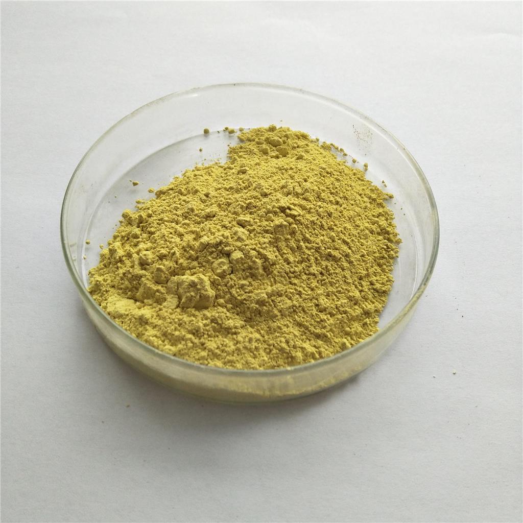  芦丁 95% 槐米提取物 芦丁 FN11 维生素P 营养增补剂芦丁现货供应