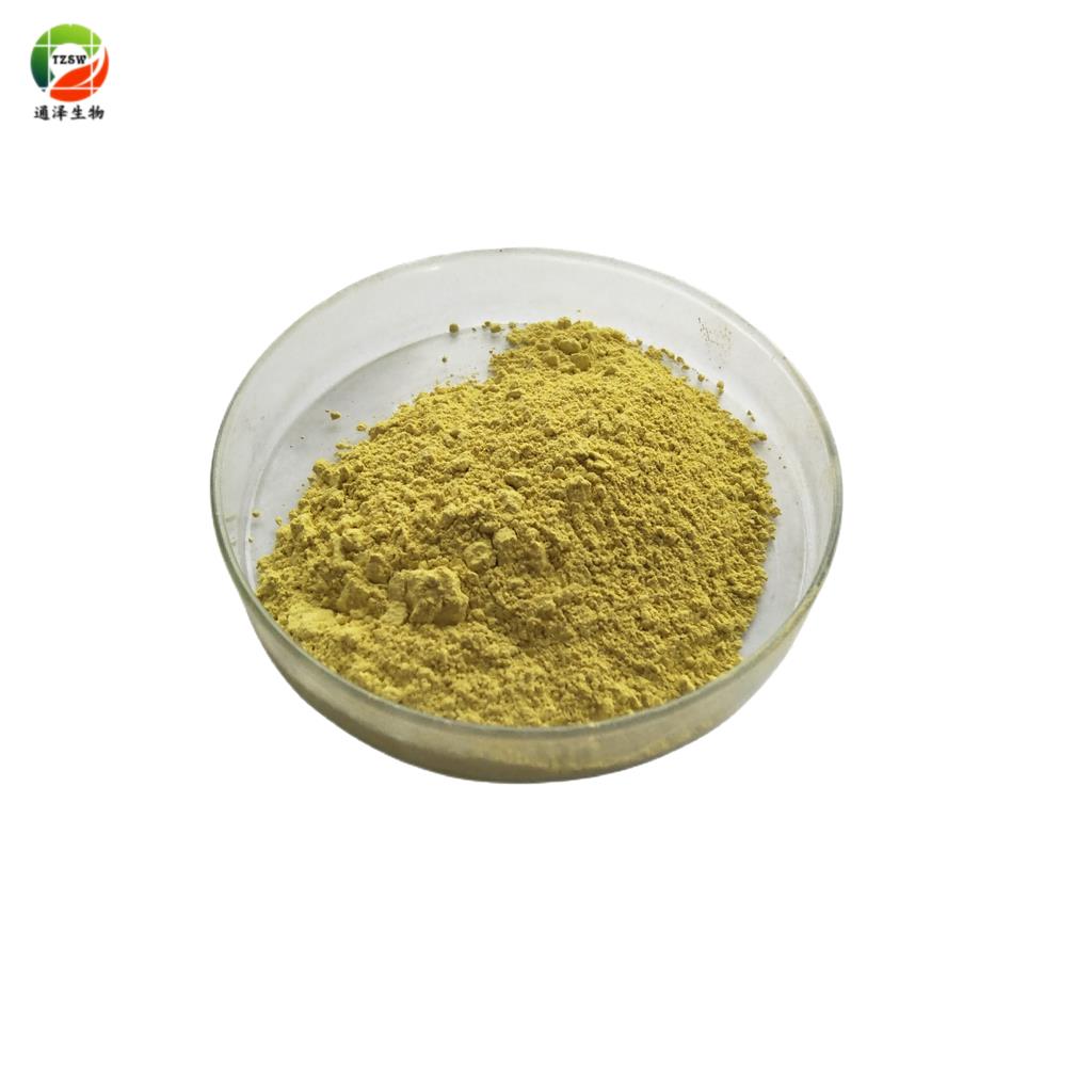 芦丁 芦丁95% FN11 维生素P 槐米提取物