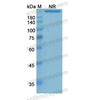 Research Grade Remtolumab