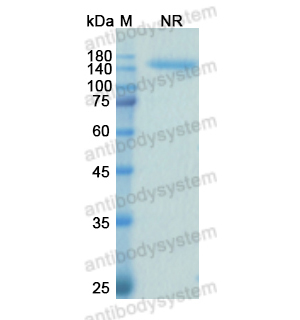 Research Grade Samalizumab  (DHE30301)