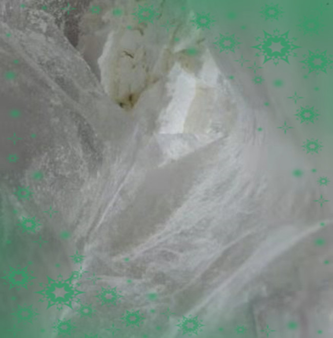 硫酸链霉素3810-74-0