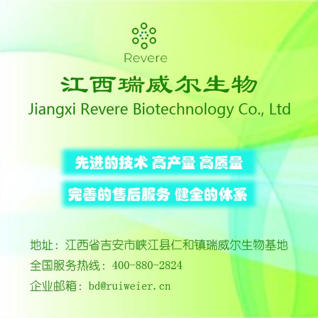 详情1A-带电话.jpg 详情1A-带电话.jpg