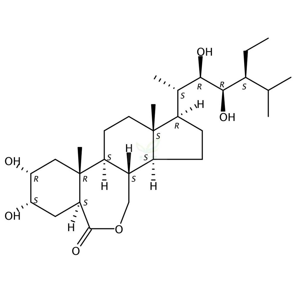 28-高芸苔素內酯