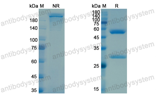 Research Grade Cabiralizumab  (DHC25201)