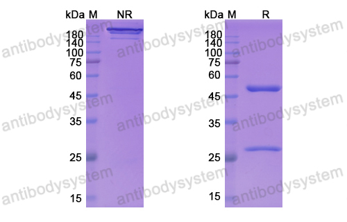 Research Grade Larcaviximab  (DVV03601)