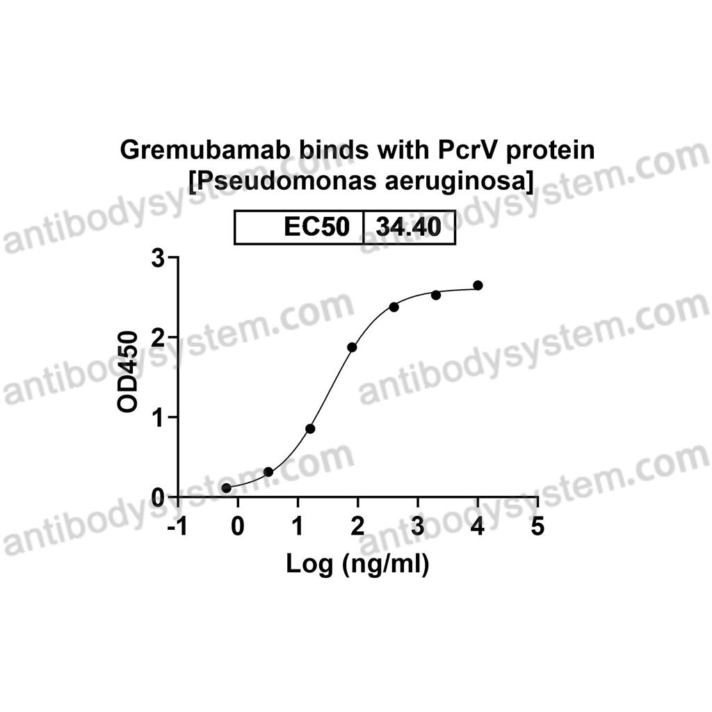 Research Grade Gremubamab  (DXX03401)