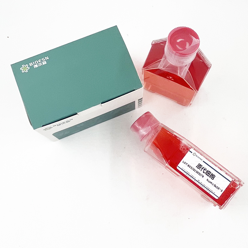 大鼠甘露糖结合蛋白(MBL) ELISA Kit