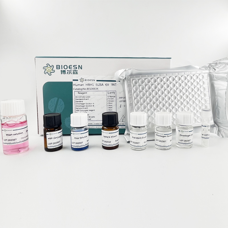 大鼠神经连接蛋白1(NLGN1) ELISA Kit