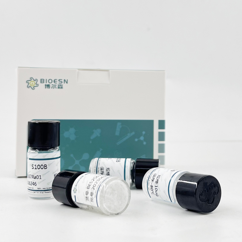 人肾癌细胞；A498