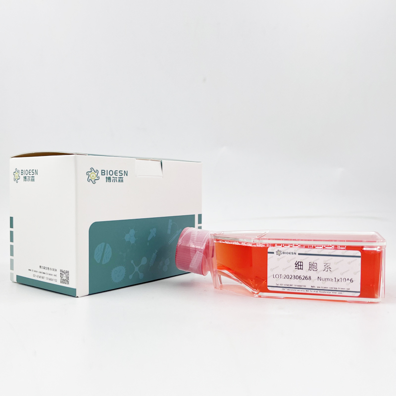 Human透明质酸酶(HAase) ELISA Kit