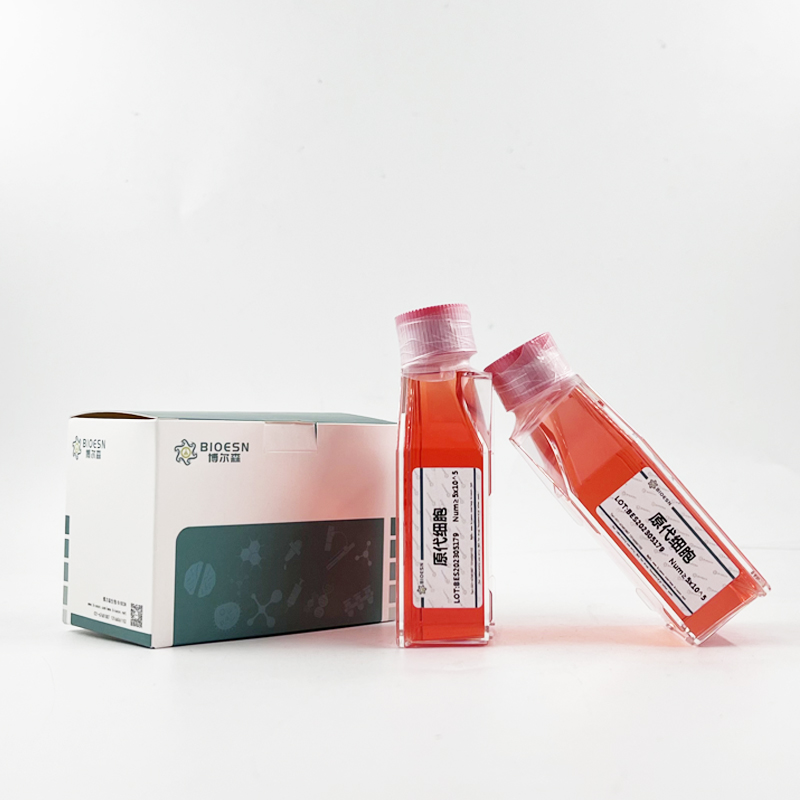 炔雌醇(EE) ELISA Kit