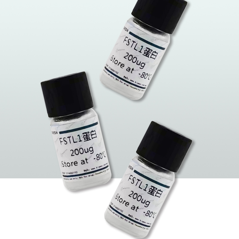 人骨髓间充质干细胞