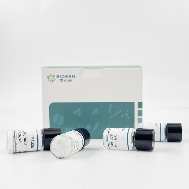 Bcl2样蛋白11(BCL2L11)重组蛋白