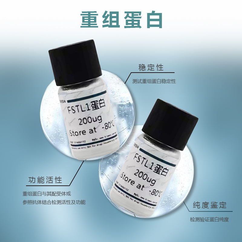 Human糖抗原15-3(CA15-3) ELISA Kit