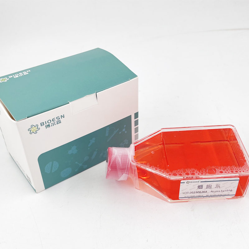 HumanD-二聚体(D2D) ELISA Kit