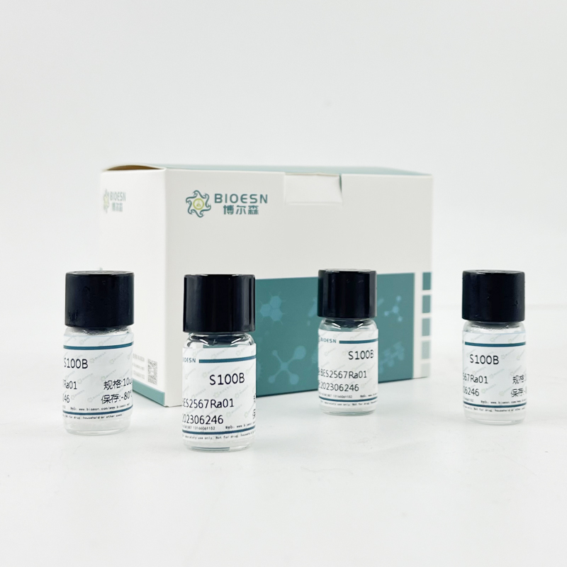 前列腺素E2(PGE2) ELISA Kit