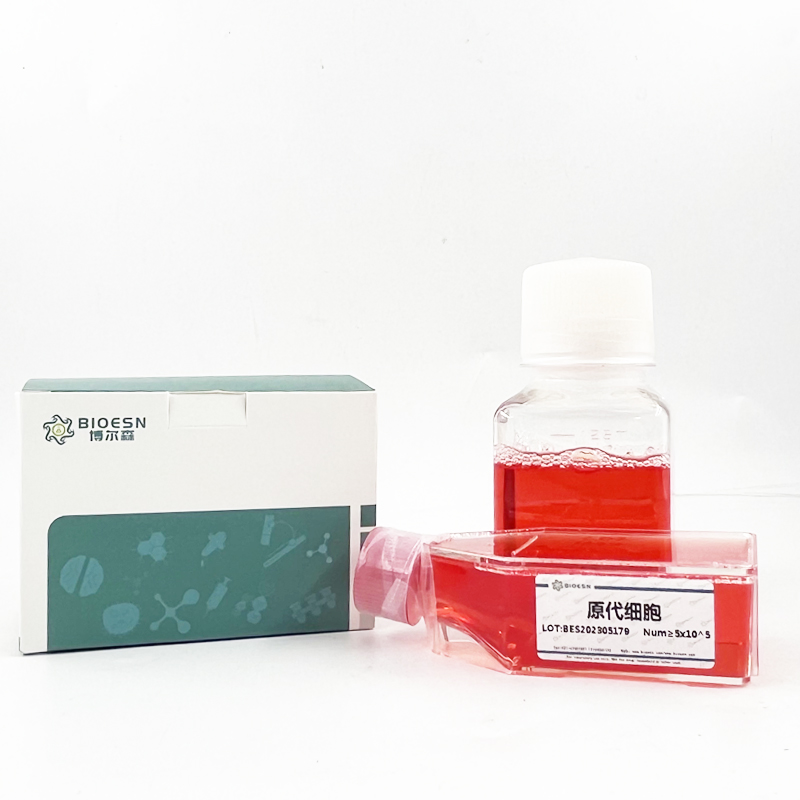 鸡脑源性神经营养因子(BDNF) ELISA Kit