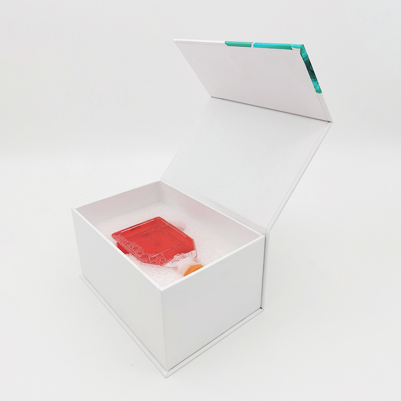 G-401人肾癌细胞