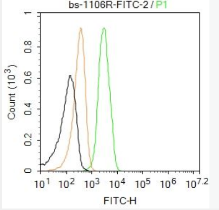 Cytokeratin 8 细胞角蛋白8抗体