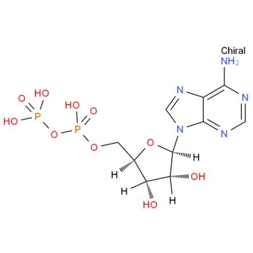 二磷酸腺苷