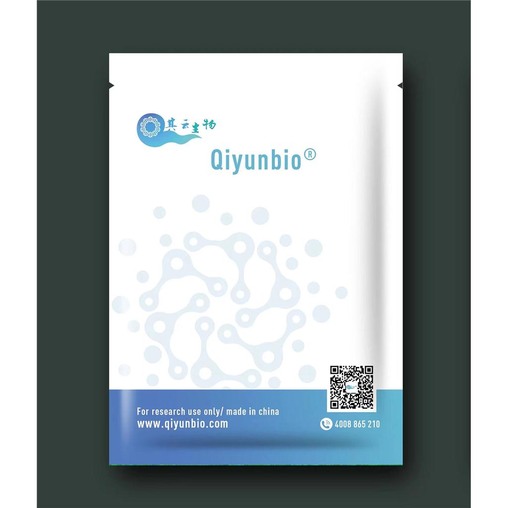 高保真酶预混液