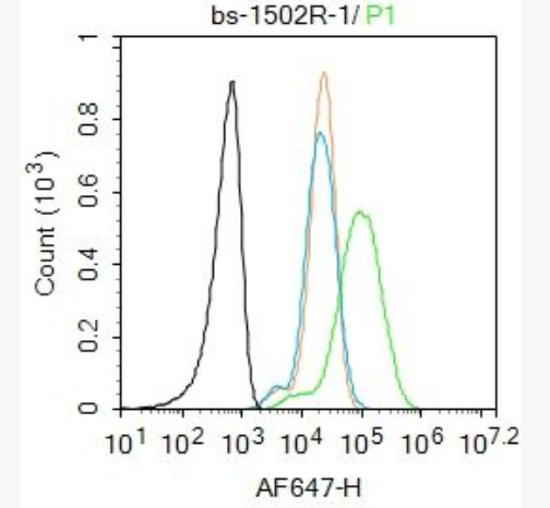 CXCL10/IP10 CXCL10趋化因子10/干扰素诱导蛋白10抗体