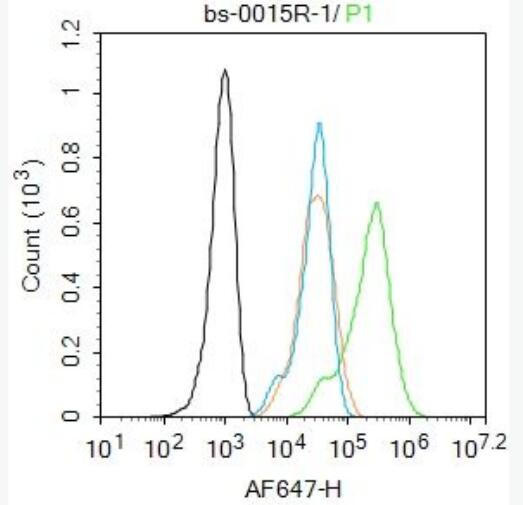IGF2  胰岛素样生长因子-II抗体