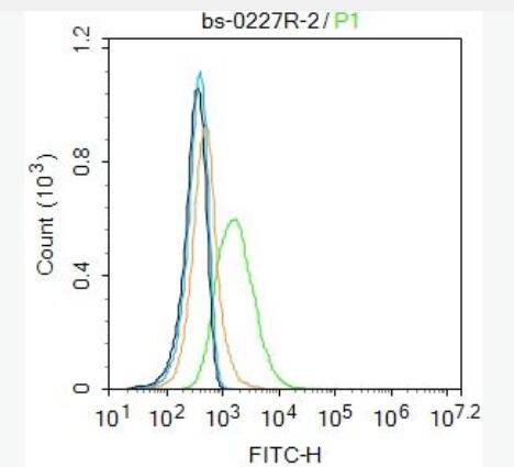 IGF1R 胰岛素样生长因子I受体抗体