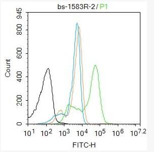 Anti-SFTPD antibody -肺表面活性蛋白D抗体