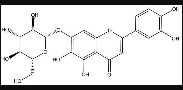 6-羟基木犀草苷哪家的比较好