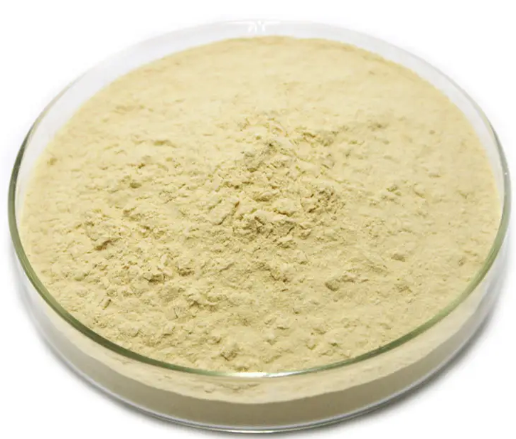 204845-95-4；恩替卡韦中间体