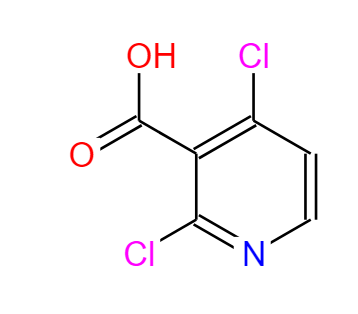 2，4-二氯烟酸 262423-77-8